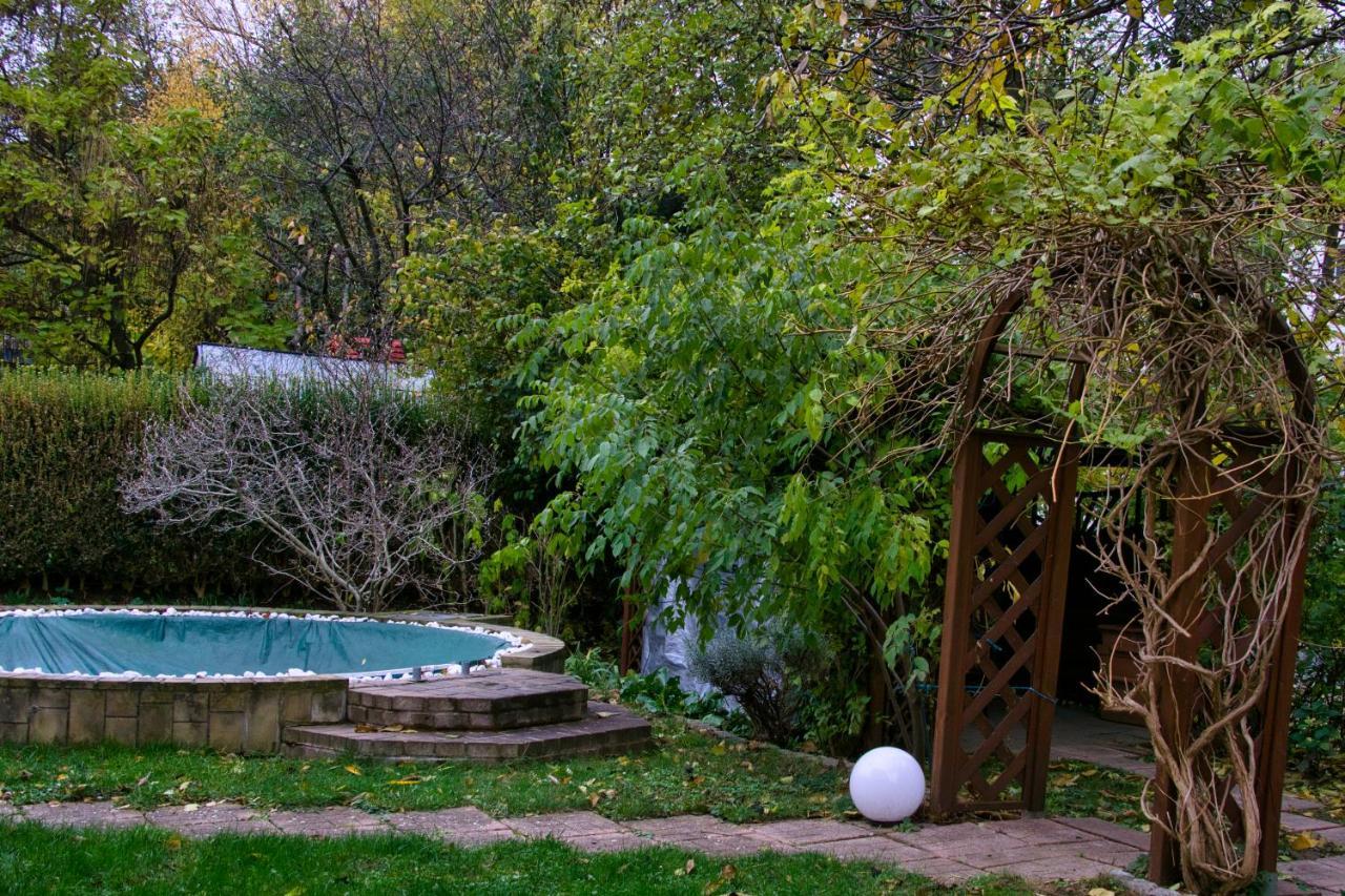 Mycozyplace - Gemuetliches Zimmer Fuer Zwei Dresden Exterior foto